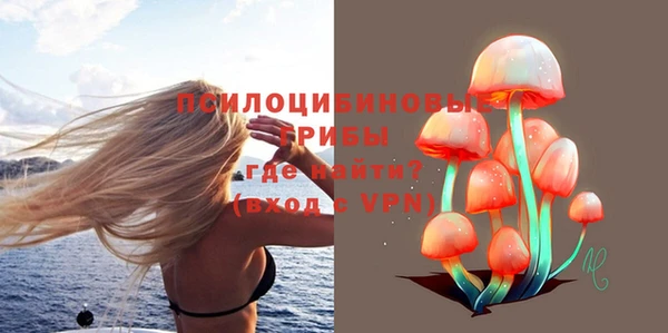 молекула духа Заволжье