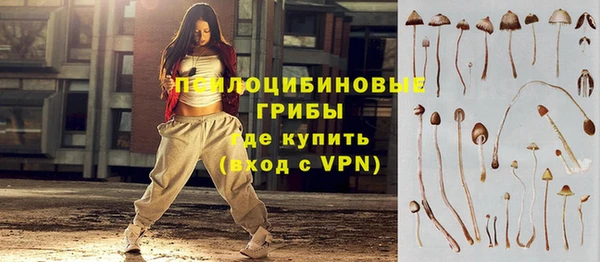 молекула духа Заволжье