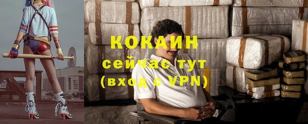 молекула духа Заволжье