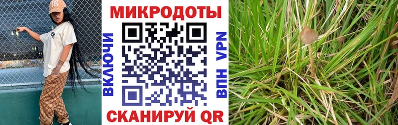 Псилоцибиновые грибы Magic Shrooms  купить   Кизилюрт 