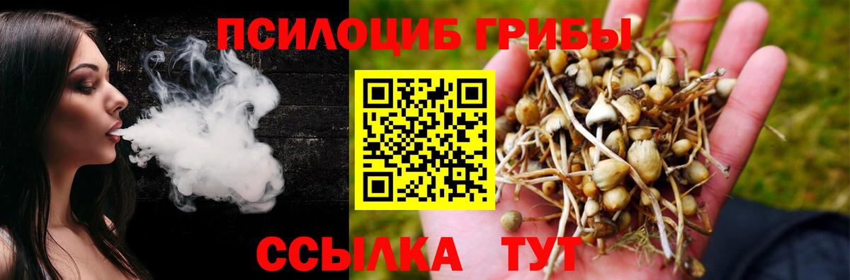 Кизилюрт  Псилоцибиновые грибы Magic Shrooms  Вход с VPN 