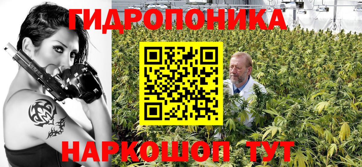 Марихуана сатива Кизилюрт